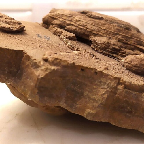 Silicified Hemispherical Stromatolite from Brazil, Precambrian
