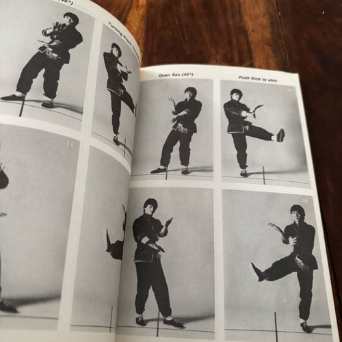 The Breaking Power of Wing Chun book used, rare