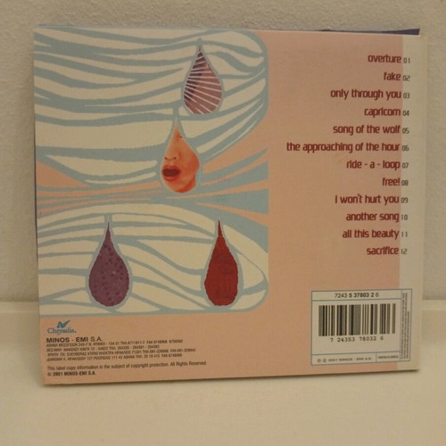 Raining Pleasure Flood CD used, rock