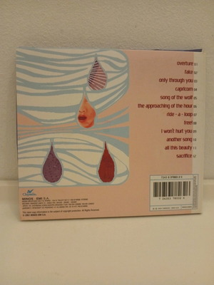 Raining Pleasure Flood CD used, rock