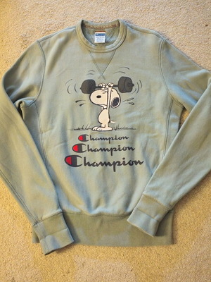 Champion sweatshirt size S like new, gray and green, for 13-14 years old boy