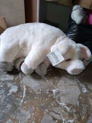 Plush pig new, good quality