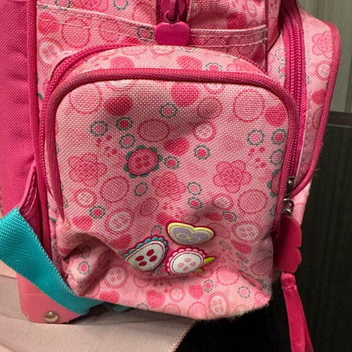 Strawberry rolling bag used