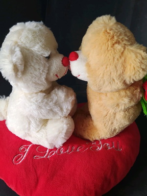 Plush heart used