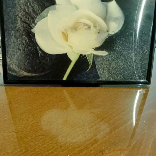Set of frames with 3d rose image and used frame