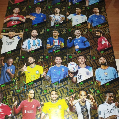 Panini Top Class Holo cards 2023 used, complete set of 25 cards