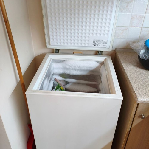 Candy refrigerator and Bosch freezer, used