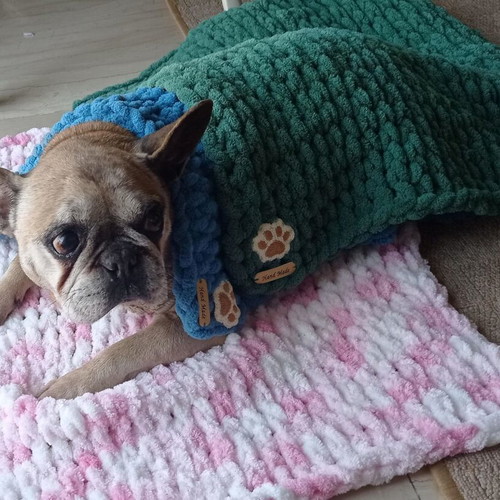 Handmade pet blanket with Alize Puffy yarn made to order, hypoallergenic