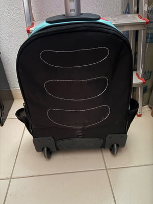 Trolley bag used