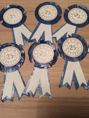 Collectible 25th March paper badge new, commemorative