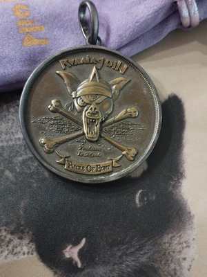 Running Wild Medallion like new original merch coin with chain