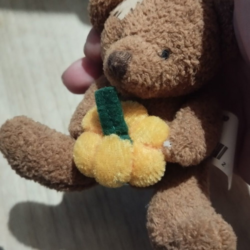 Halloween hanging teddy bear used from America