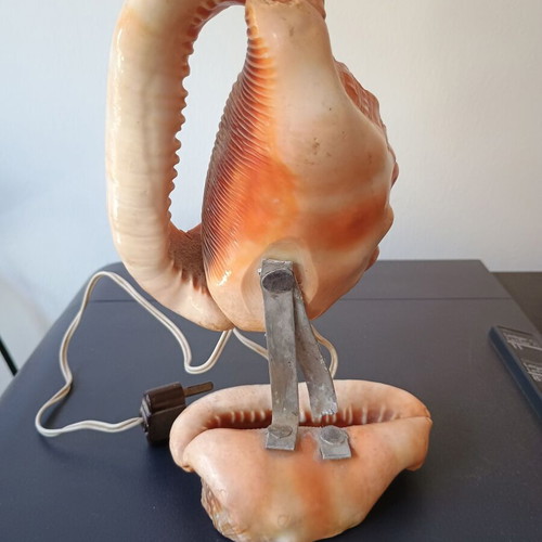 Handmade shell table lamp used