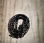 Glasses Chain new, black