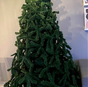 χριστουγεννιάτικο δέντρο 2,50 μ.