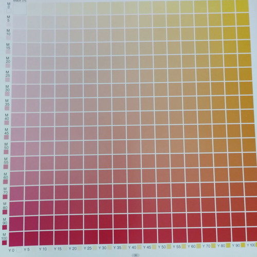 CMYK Color Guide like new, professional printing tool
