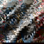 Adidas Superstar ανδρικά μεταχειρισμένα, μέγεθος 46, μαύρα