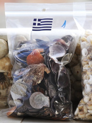 Seashells "Chtenia" like new for crafts and decoration