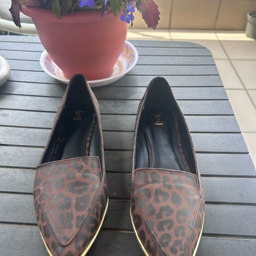Axel Leopard Ballerinas New with Gold Trim
