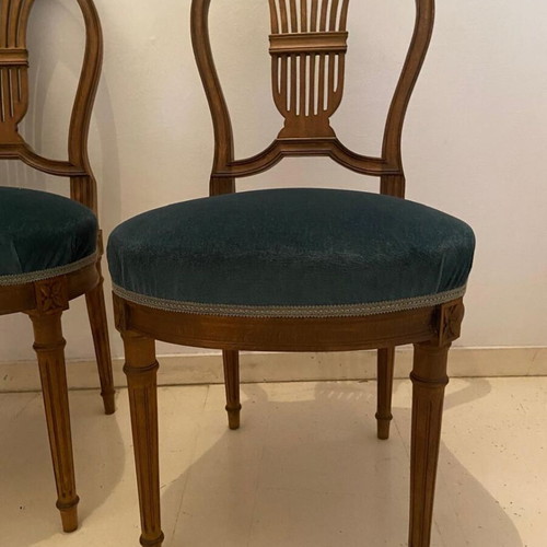 Classic wooden Louis XVI chairs set of 6, like new with velvet seat