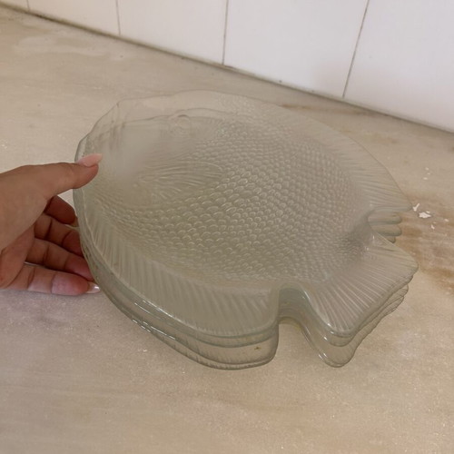 Glass fish plates like new