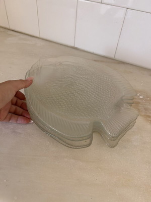 Glass fish plates like new