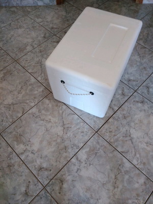 Fishing cool box for camping and fishing new