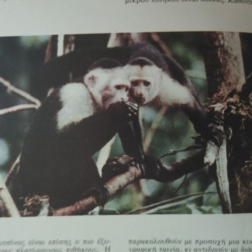 The Wonders of the Animal World like new