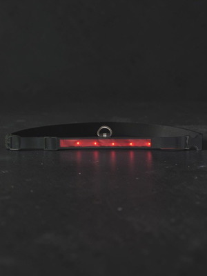 Dog collar with red LED light, new, 43-48cm x2.5cm