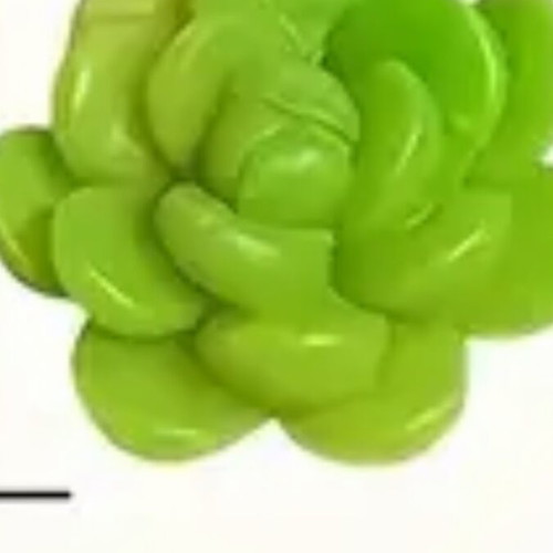 Mini succulent mold slightly used