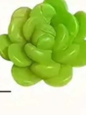 Mini succulent mold slightly used