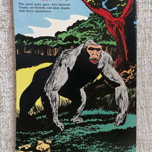 Tarzan Annual Issue No 25 used, American vintage 100 pages
