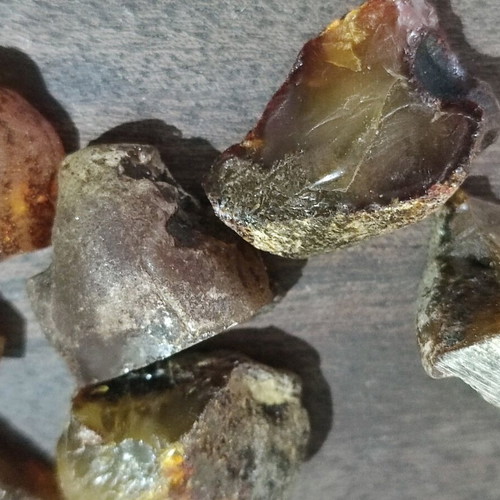 Low pressure amber unprocessed, 16 pieces, 40 grams