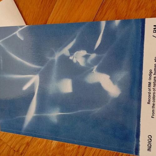 Indigo solo album by RM from BTS used