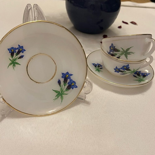 Arcopal France vintage set of 2 cups used with blue Gentian design