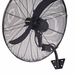 Professional iron fan used