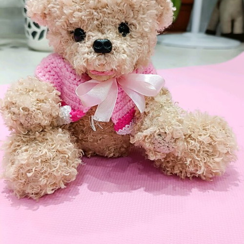 Handmade knitted puppy new with movable joints and pink or red blouse