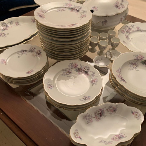 MZ Altrohlaou CM-R porcelain antique dinnerware set used, 55 pieces