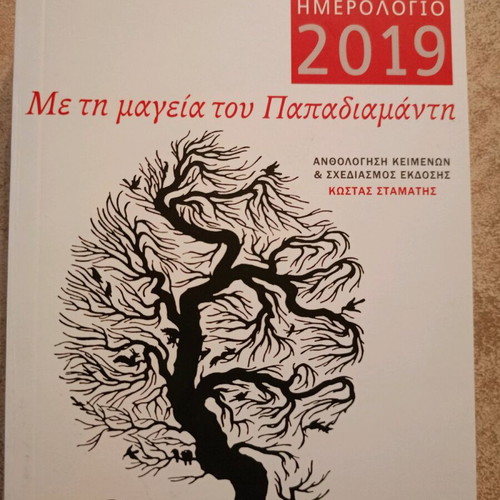 Literary diary 2018-2019-2020 like new, pocket size