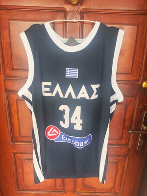 Greece National Team Jersey Antetokounmpo (L)