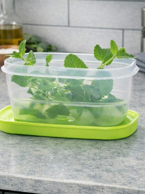 Tupperware Smart Cooling Container 375ml new