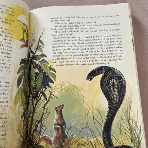 Treasury of Literature for Children used, English