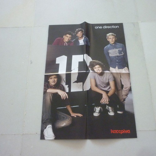 1D One Direction Vampire Diaries double collectible poster used