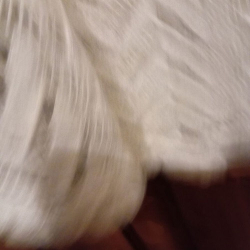Bershka top white like new, short