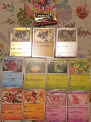 Perfect Order Pokemon Cards new with Luxray holo and more