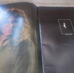 Whitesnake Come An' Get It 1981 tour program used