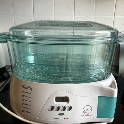 Steamy Izzy Moulinex steamer, new