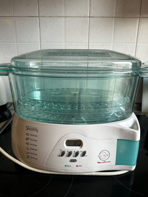 Steamy Izzy Moulinex steamer, new