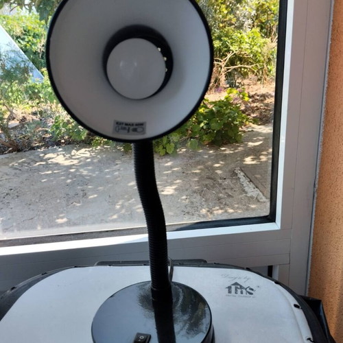 Black table lamp with flexible neck and bulb
