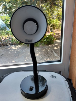Black table lamp with flexible neck and bulb